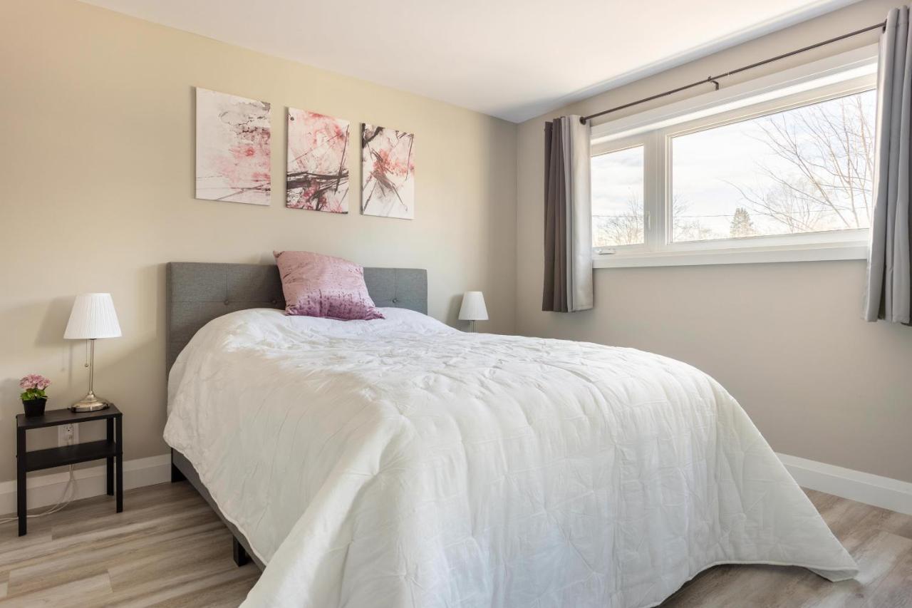 Entire 2 Bedroom Apartment Downtown - U2 Kitchener Exteriör bild